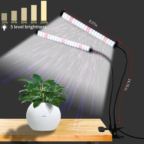 Adjustable LED grow light with 5 brightness levels illuminating a potted plant.