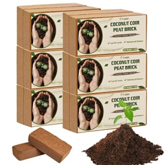 Coconut coir peat bricks with soil and plant.