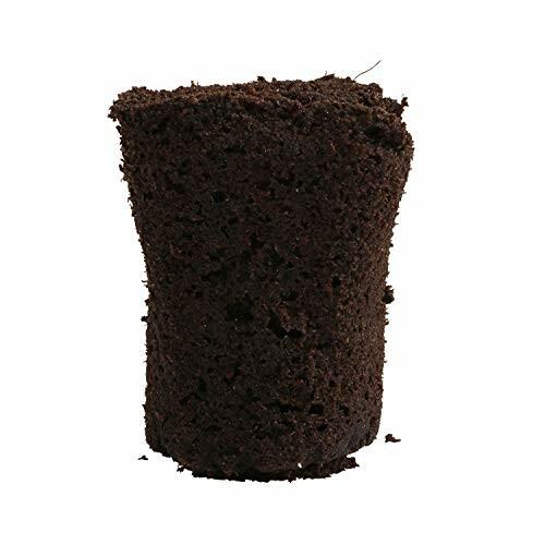 Coconut coir pellet for gardening.