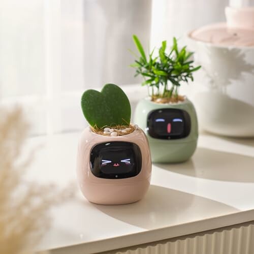 Cute planter pots with plant faces on a windowsill