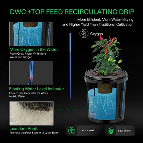 DWC top feed recirculating drip system with plant and oxygen features