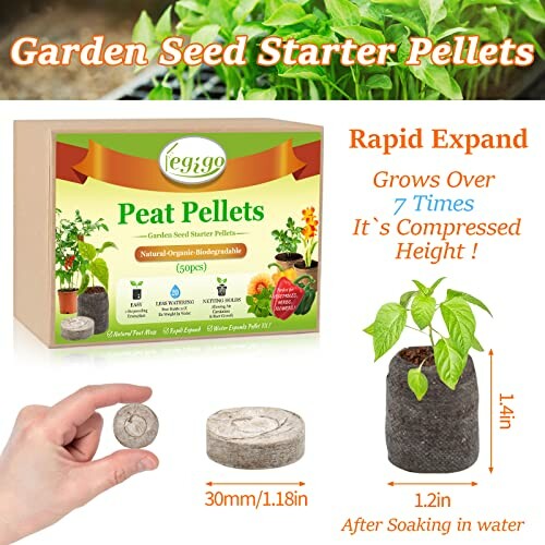 Peat pellets for garden seed starting, showing expansion in water.