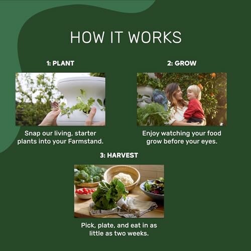 Steps to plant, grow, and harvest plants in a Farmstand.