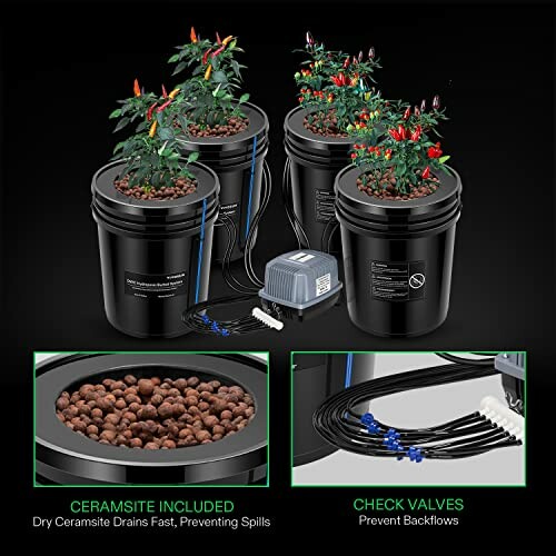 Hydroponic system with plants in black buckets, ceramsite, and check valves.