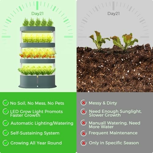Comparison of hydroponics and soil gardening benefits and drawbacks.