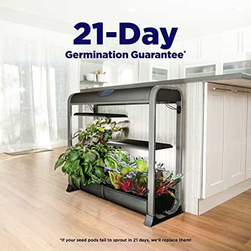 Indoor garden kit with plants and 21-day germination guarantee.