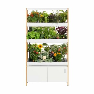 Rise Gardens 3 Level Garden Hydroponic Indoor Garden Kit