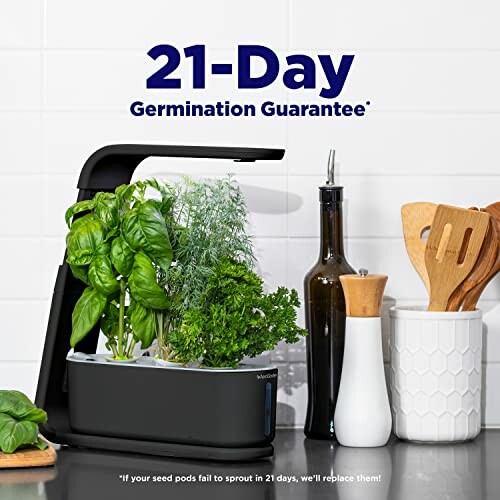 Indoor herb garden kit with basil, dill, and parsley, 21-day germination guarantee.