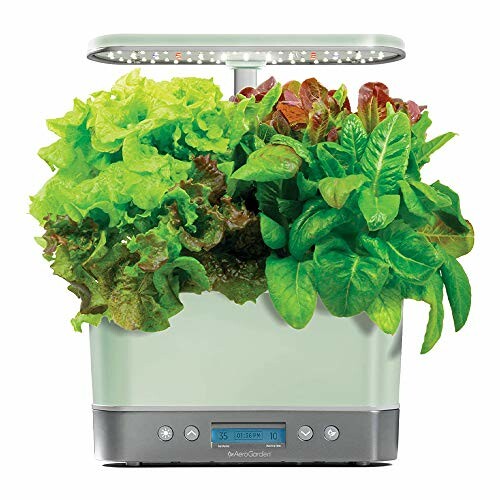 Indoor hydroponic garden kit with LED lights and fresh greens.