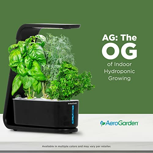 Indoor hydroponic garden with herbs