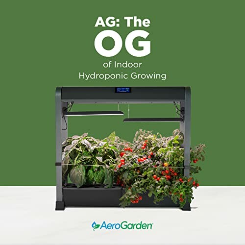 Indoor hydroponic garden with vegetables growing.