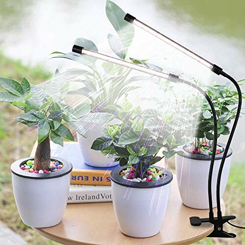 Indoor plants with LED grow lights in white pots.