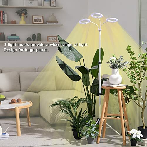 Indoor plant arrangement with a three-headed grow light in a living room.