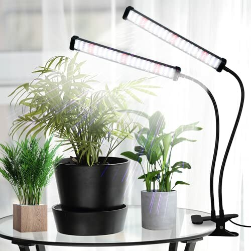 Indoor plants on a table with LED grow lights.