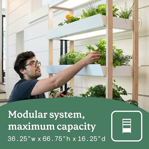 Person tending plants on a modular indoor vertical garden system.