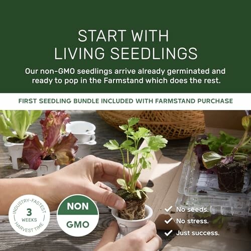 Advertisement for living seedlings with non-GMO plants and farmstand offer.