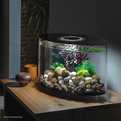 Modern fish tank with rocks and plants on a wooden table.