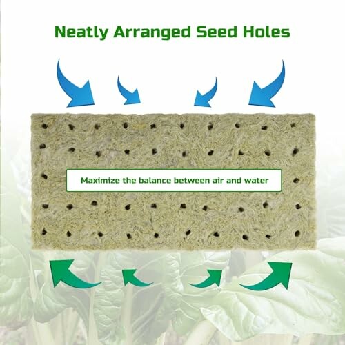 Rockwool block with neatly arranged seed holes and arrows indicating airflow.