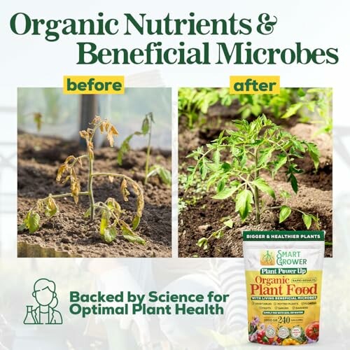 Comparison of plants before and after using organic plant food, showing healthier growth.