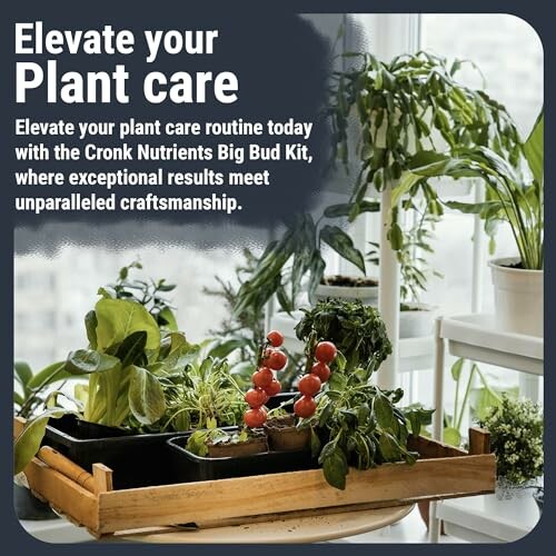 Indoor garden with plants and gardening kit.