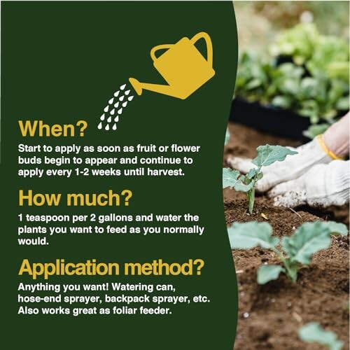 Instructions for applying plant food, detailing timing, quantity, and methods.