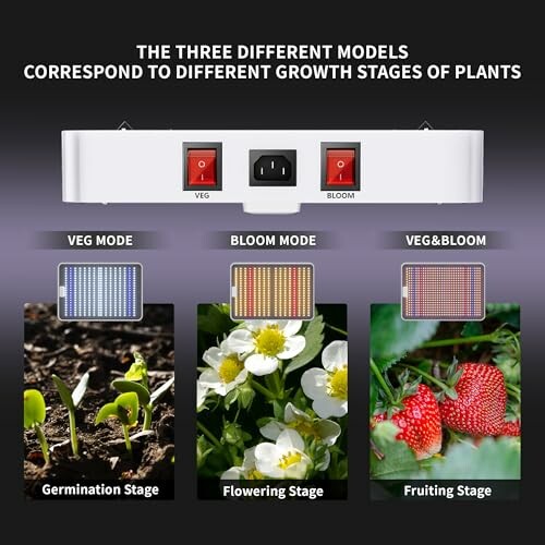 Light Modes for Plant Growth Stages: Germination, Flowering, Fruiting