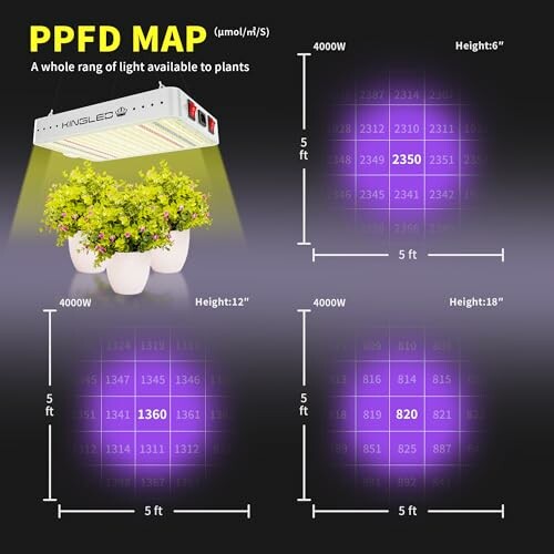 PPFD Map Showing Light Intensity for Plants at Different Heights and Distances