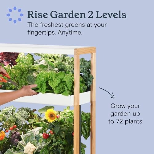 Rise Gardens Hydroponic Kit
