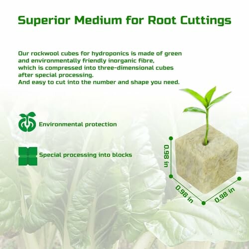 Rockwool cube with plant for hydroponics.