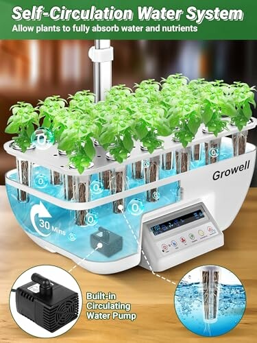 Self-circulation water system for plant growth with built-in pump and timer.