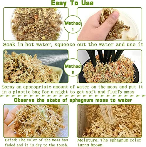 Instructions on using and observing sphagnum moss with water.
