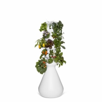 Farmstand Starter Kit + Seedlings
