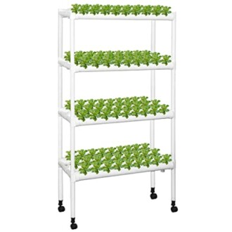 Kalolary Hydroponic Grow Kit