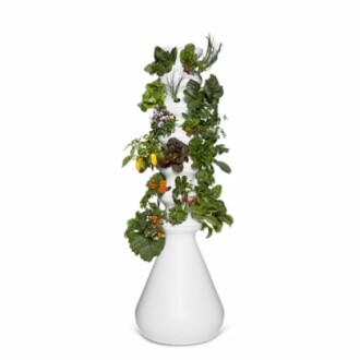 Farmstand Starter Kit + Seedlings